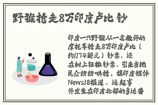丁香五月综合